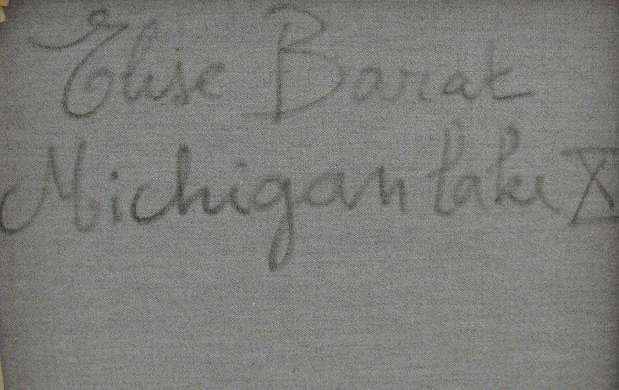 Tableau de ELISE BARAT a pour titre  MICHIGAN LAKE X style no dim : ELISE BARATprix:850