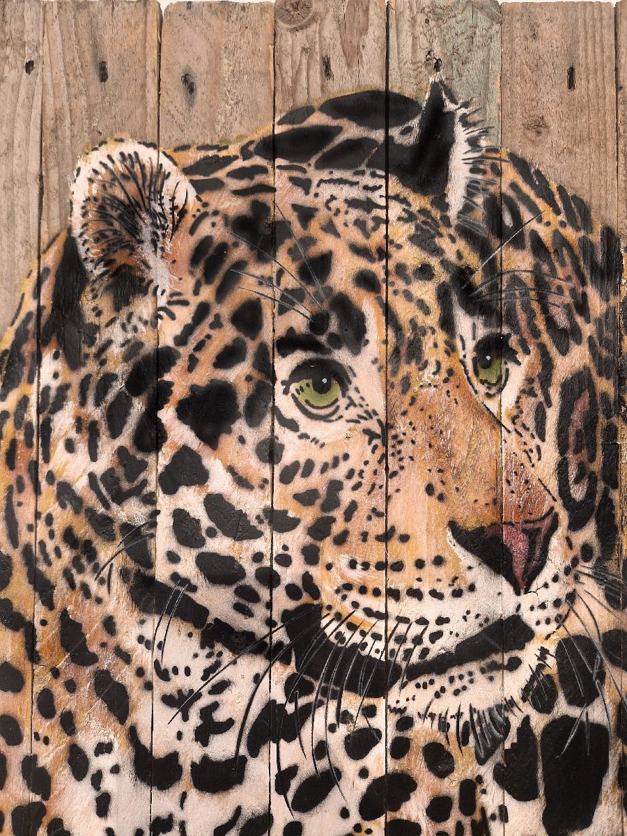 Tableau de MOSKO a pour titre  Jaguar marchant style street art dim : MOSKOprix:1600