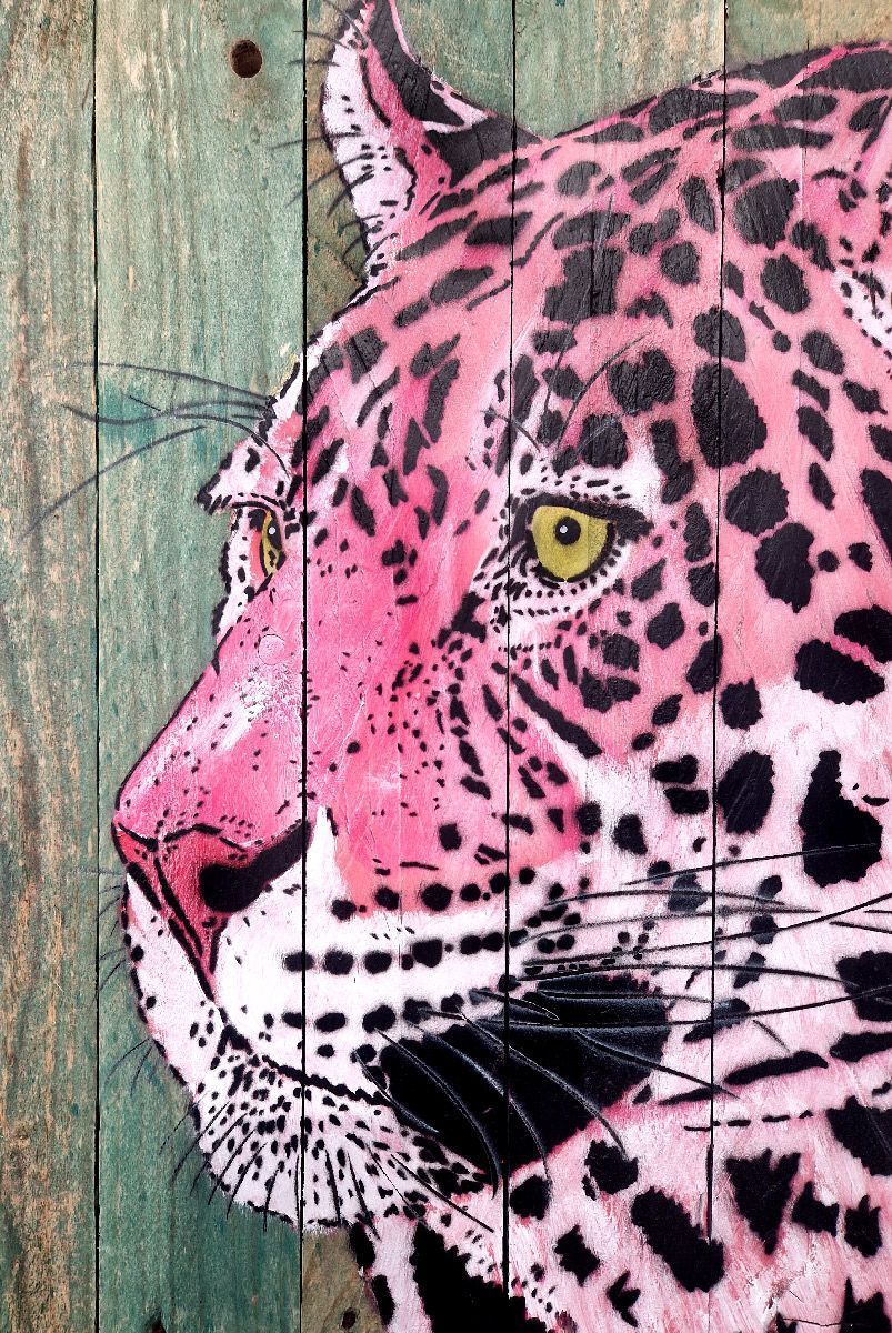 Tableau de MOSKO a pour titre  Buste jaguar rose style street art dim : MOSKOprix:1600
