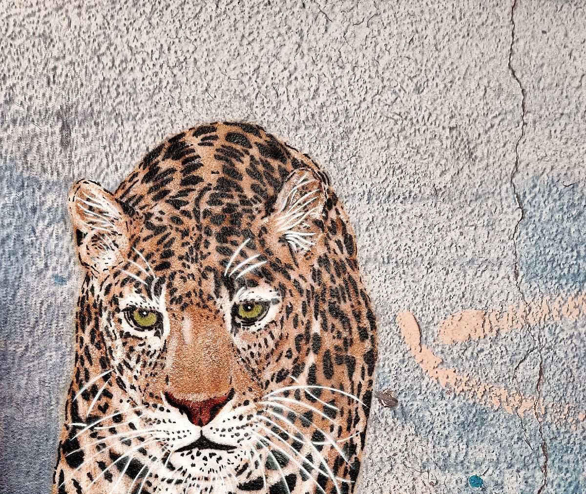 Tableau de MOSKO a pour titre  Panthère marchant sur mur style street art dim : MOSKOprix:1600