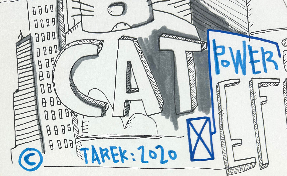 Cat power