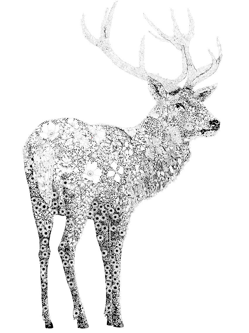 Estampe figuratif petit format blanc et noir CERF – CAMILLE POLI – 30 × 40 cm