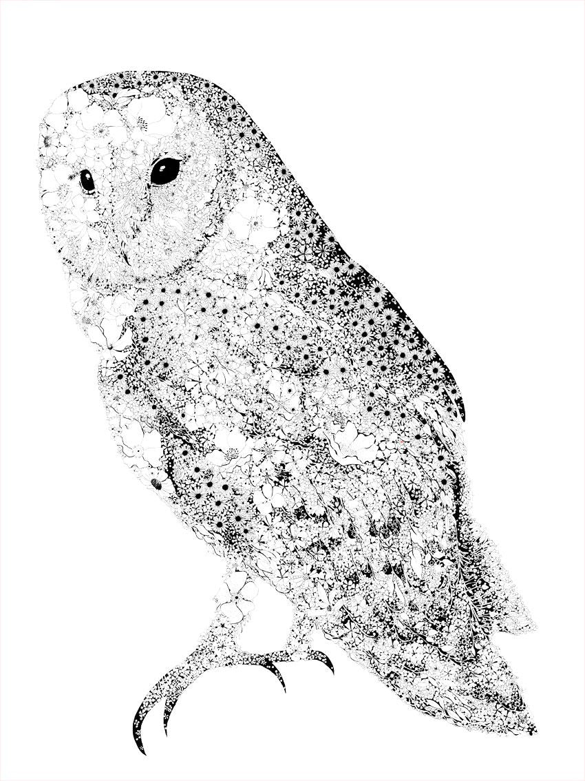Estampe figuratif petit format blanc et noir CHOUETTE – CAMILLE POLI – 30 × 40 cm