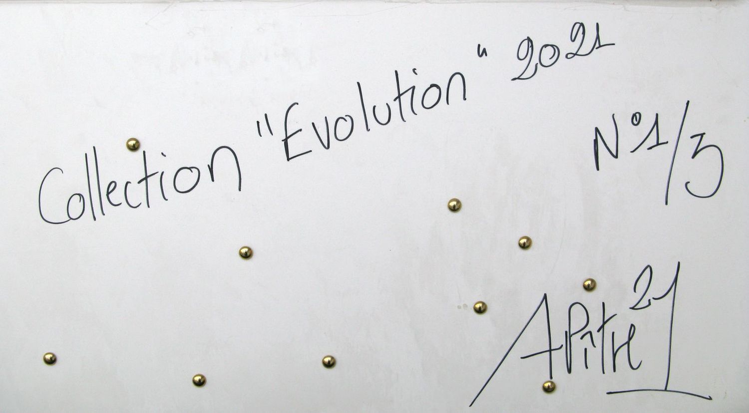 Tableau de L'ARTISTE PITRE a pour titre  Evolution style figuratif, graphique dim : L'ARTISTE PITREprix:1560