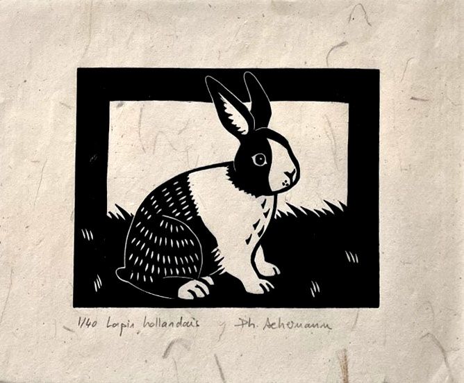 Linogravure figuratif petit format noir LAPIN HOLLANDAIS – PHILIPPE ACHERMANN – 18 × 24 cm
