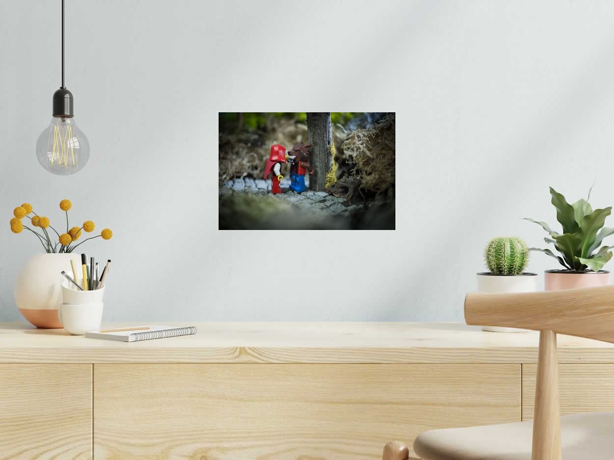 Photo de SAMSOFY a pour titre  LE VILAIN CHAPERON style street pop art dim : SAMSOFYprix:60