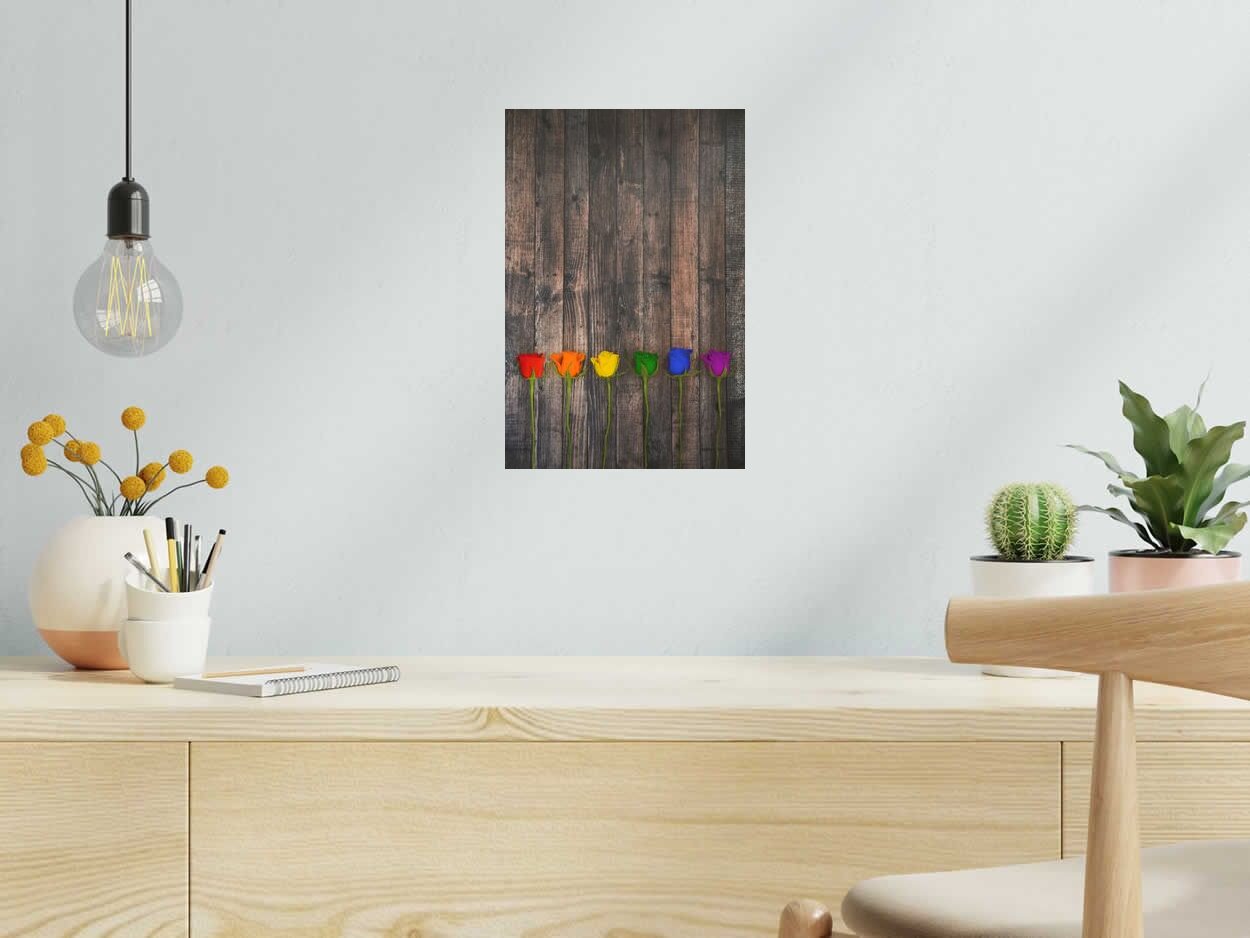 Photo de AURELIE SARRAMON a pour titre  Rainbow Roses style figuratif dim : AURELIE SARRAMONprix:60