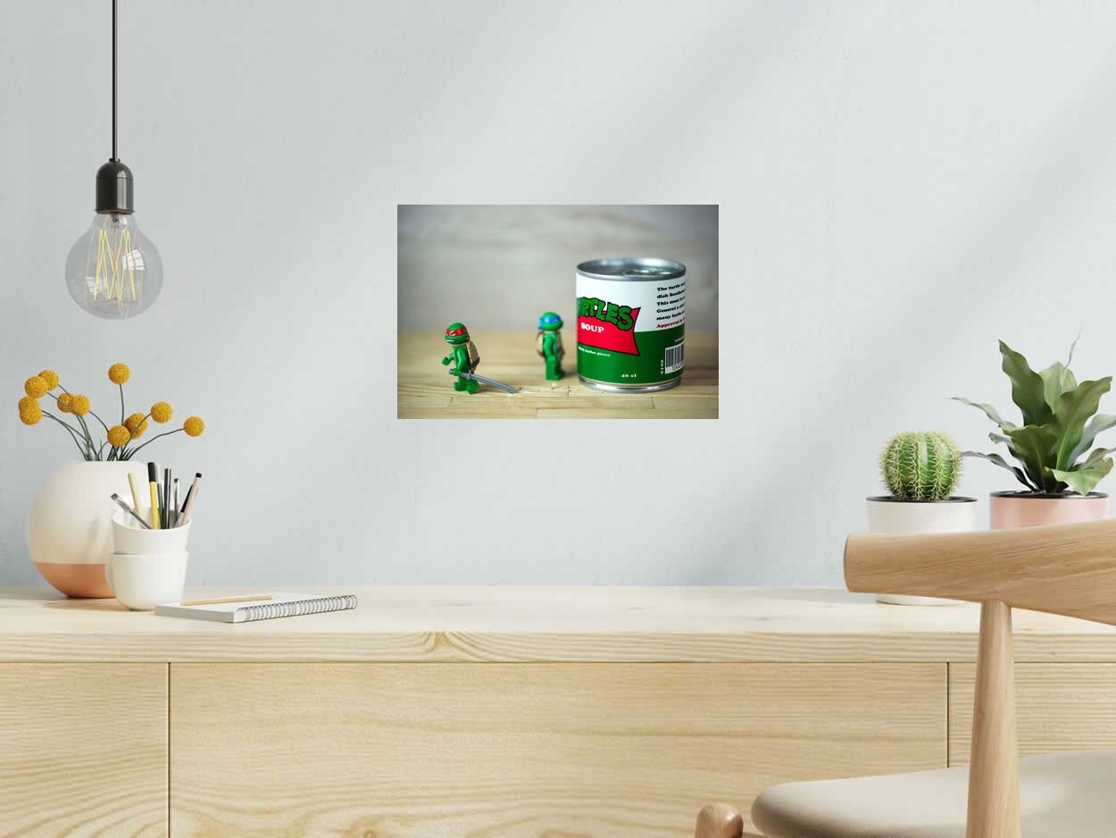 Photo de SAMSOFY a pour titre  TURTLE SOUP style figuratif dim : SAMSOFYprix:60
