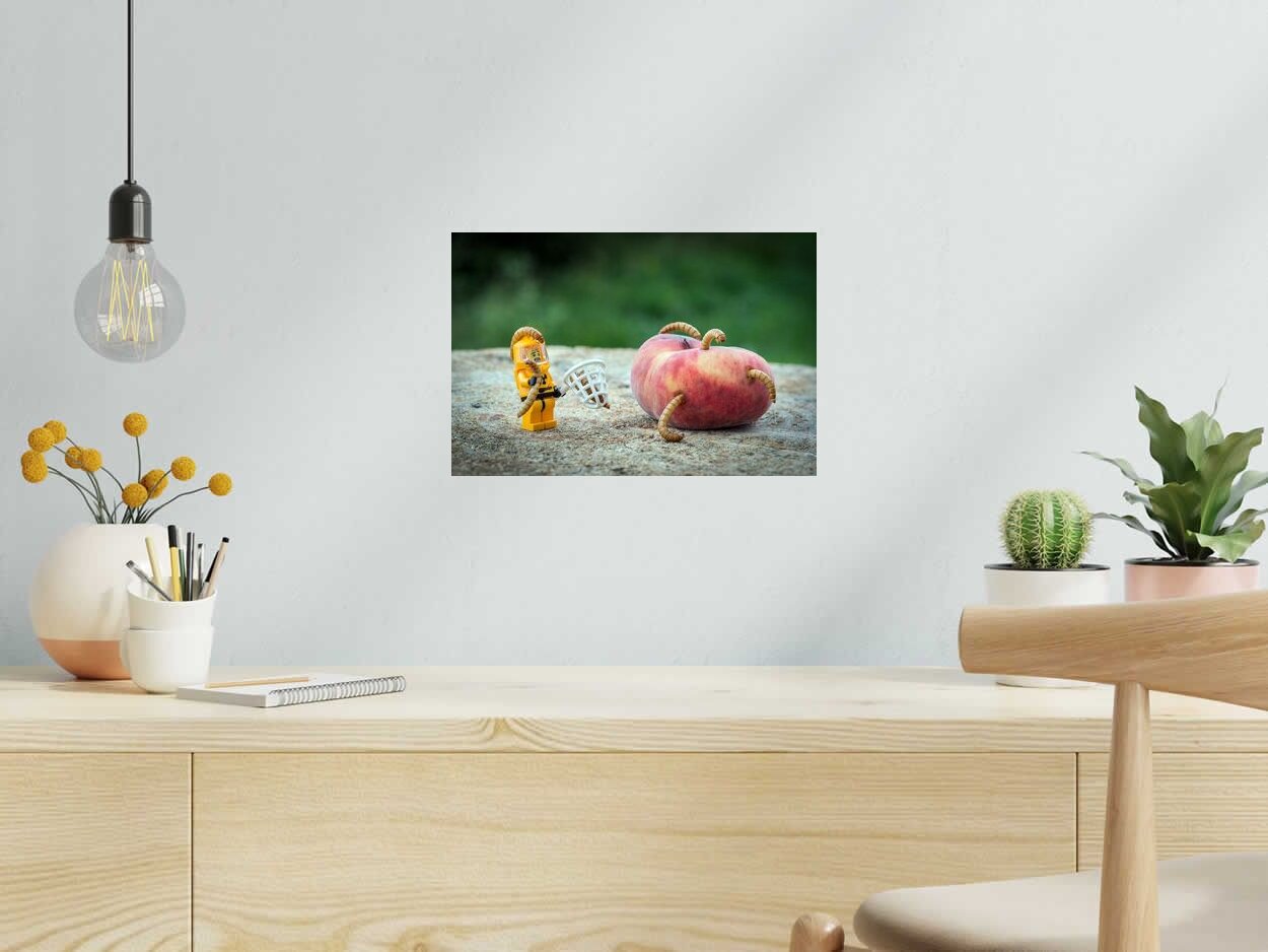 Photo de SAMSOFY a pour titre  WORMS style figuratif dim : SAMSOFYprix:60