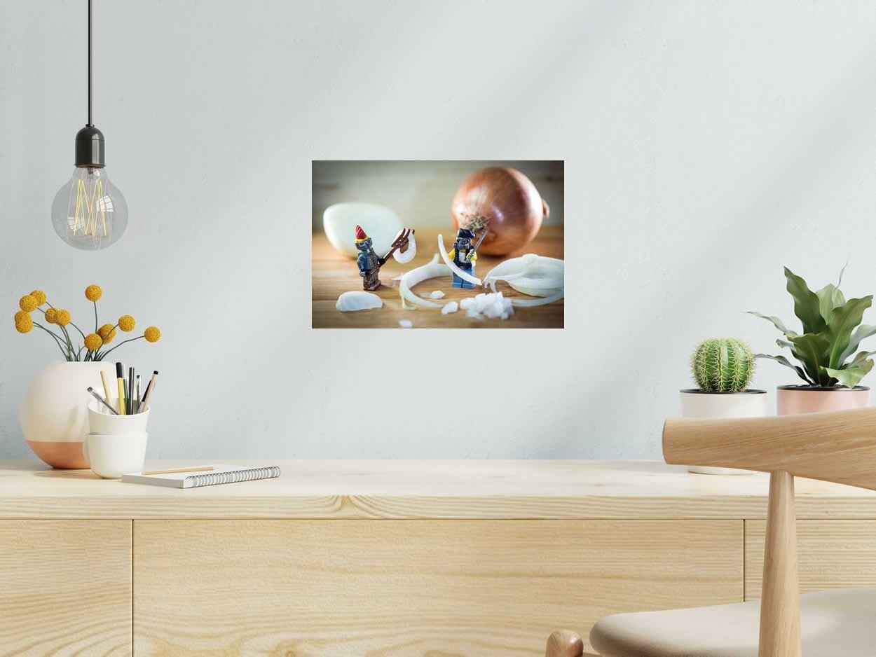 Photo de SAMSOFY a pour titre  OIGNON SOUP style graphique dim : SAMSOFYprix:60