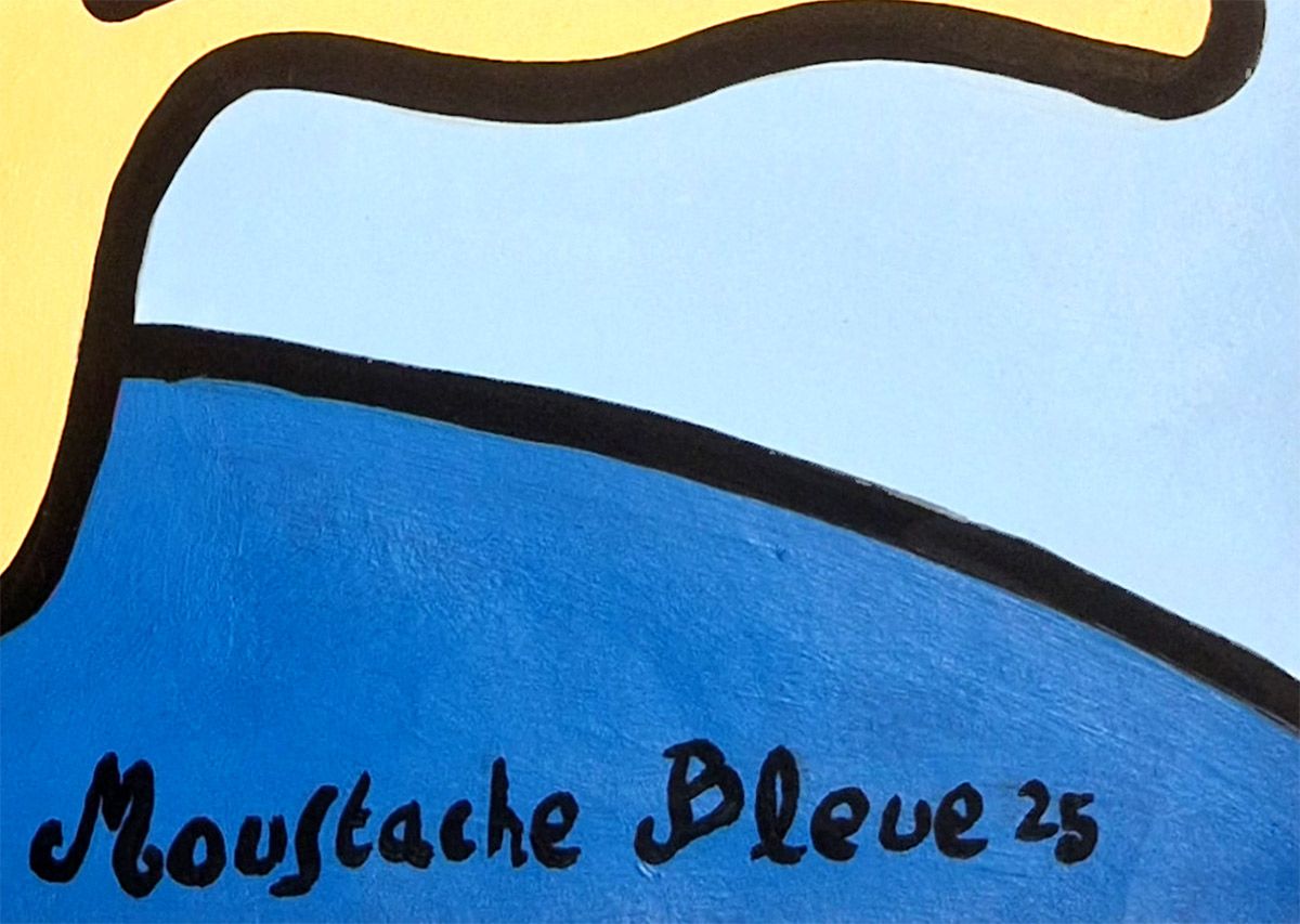 Dessin de MOUSTACHE BLEUE a pour titre  On aime voyager ! style figuratif dim : MOUSTACHE BLEUEprix:70