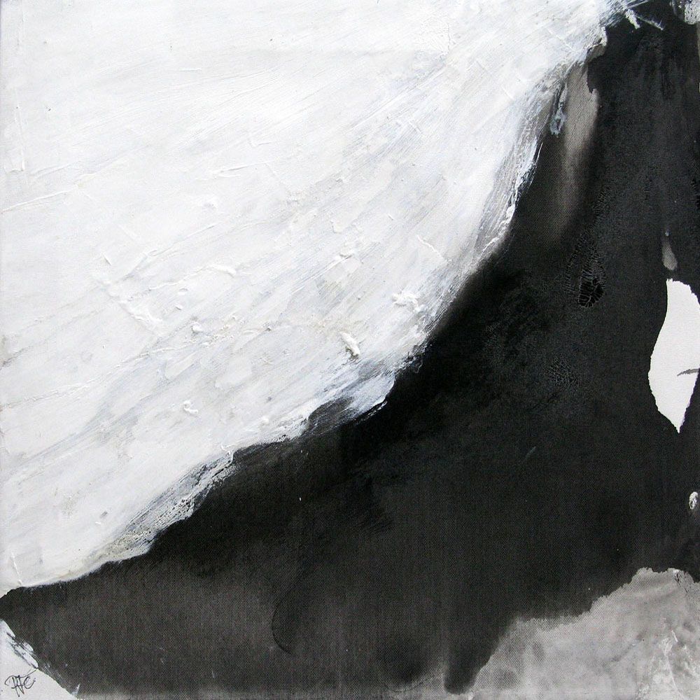 Tableau de PASCALE JACQUEMOND a pour titre  NOIR ET BLANC 2 style abstrait dim : PASCALE JACQUEMONDprix:
