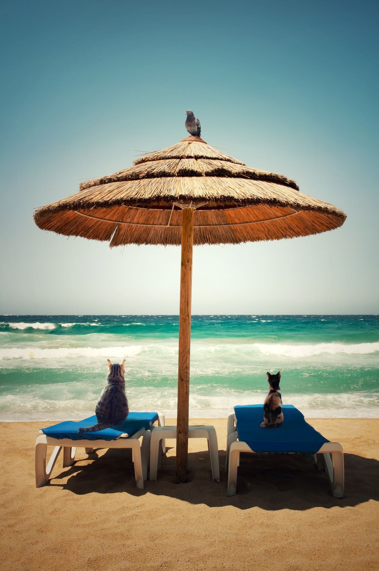 Photographie figuratif petit format Contemplation II – AURELIE SARRAMON – 24 × 36 cm