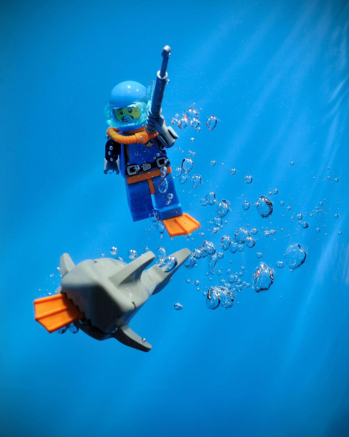 Photographie figuratif petit format SHARK ATTACK seconde ed. – SAMSOFY – 24 × 30 cm