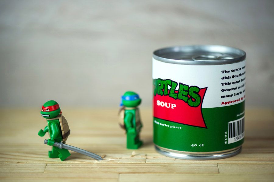Photographie figuratif petit format TURTLE SOUP – SAMSOFY – 24 × 36 cm