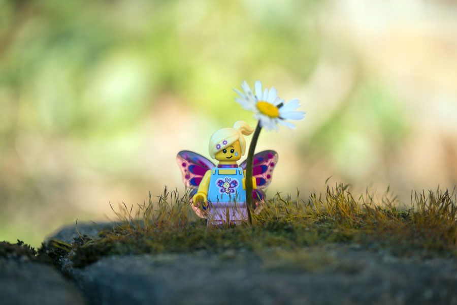 Photographie graphique petit format LA FILLE PAPILLON – SAMSOFY – 24 × 36 cm