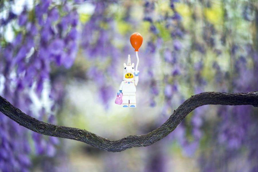 Photographie graphique petit format UNICORN – SAMSOFY – 24 × 36 cm