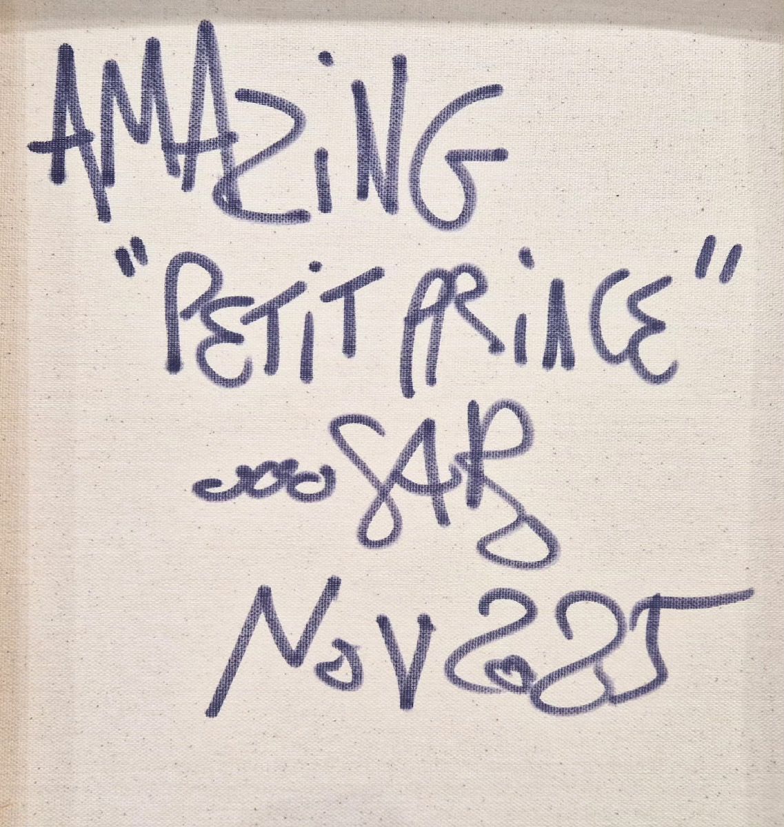 Tableau de RICO SAB a pour titre  Amazing Petit Prince style street pop art, street art dim : RICO SABprix:290